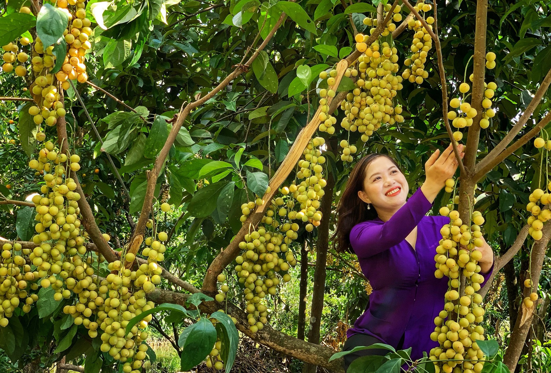 Đi du lịch tháng 8: 3 điểm đến thời tiết đẹp, cảnh sắc vào mùa Đi du lịch tháng 8: 3 điểm đến thời tiết đẹp, cảnh sắc vào mùa