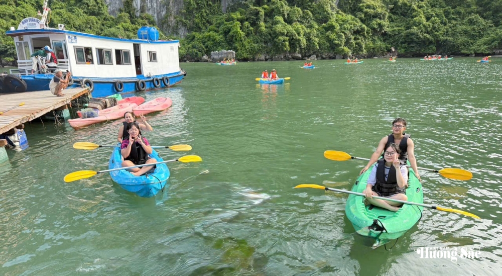 Vịnh Lan Hạ: Bản hòa ca của biển trời và những xúc cảm khó quên