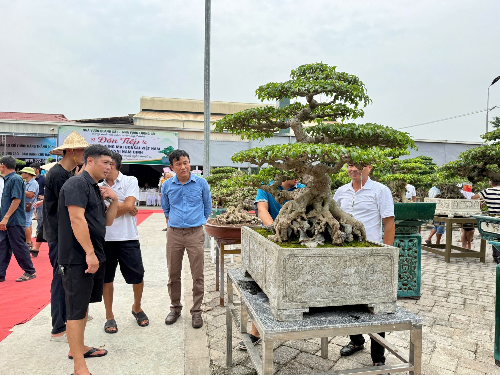 Gần 200 người yêu bonsai hội ngộ tại Lý Nhân: Lan tỏa đam mê, kết nối giá trị nghệ thuật sinh vật cảnh