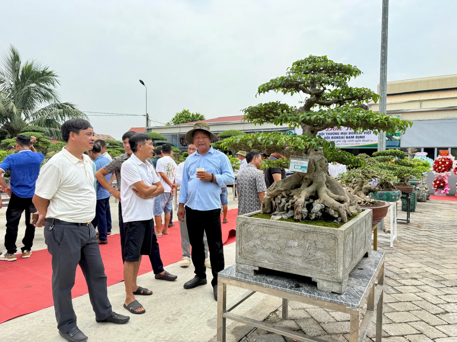 Gần 200 người yêu bonsai hội ngộ tại Lý Nhân: Lan tỏa đam mê, kết nối giá trị nghệ thuật sinh vật cảnh