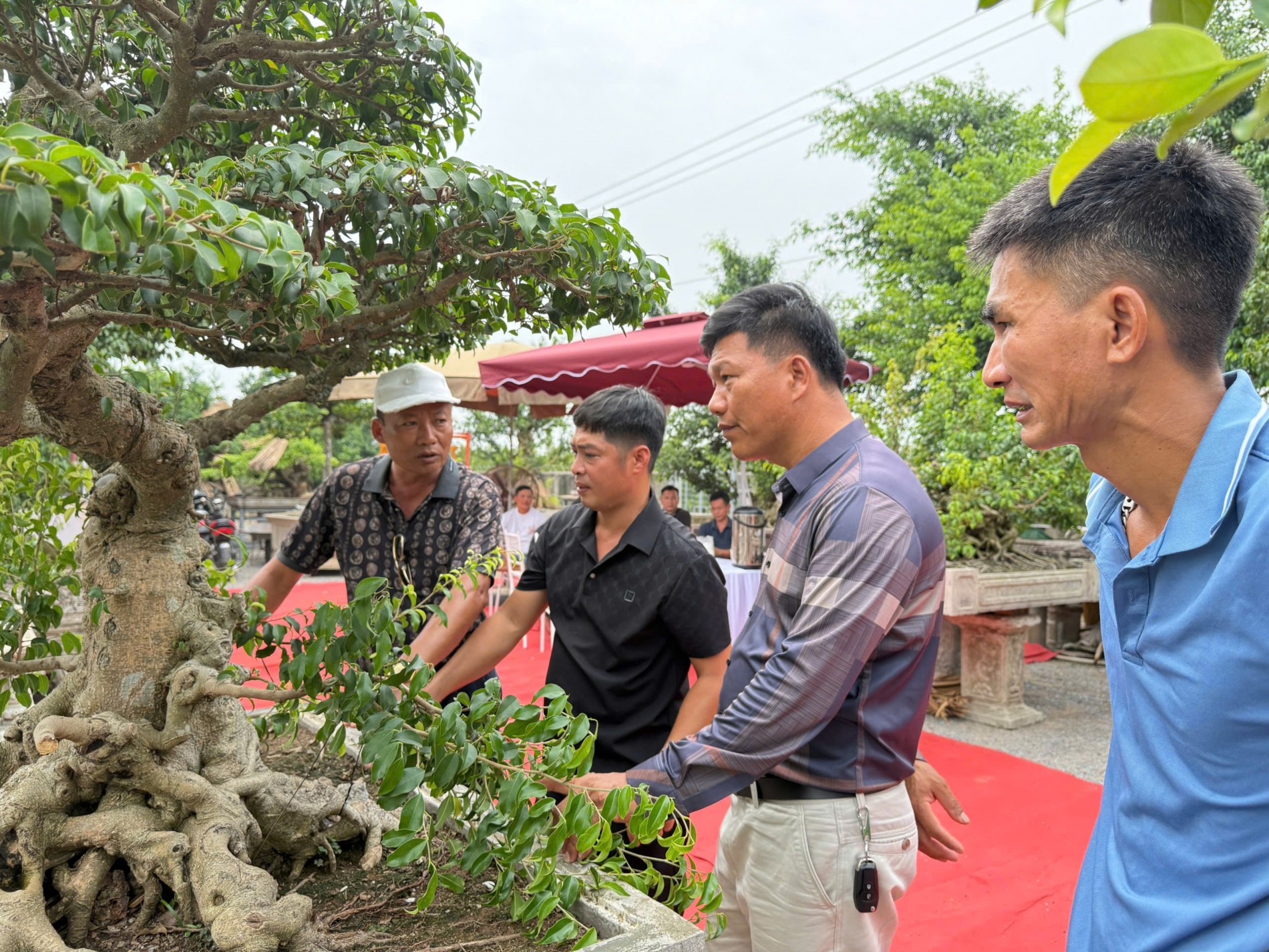 Gần 200 người yêu bonsai hội ngộ tại Lý Nhân: Lan tỏa đam mê, kết nối giá trị nghệ thuật sinh vật cảnh