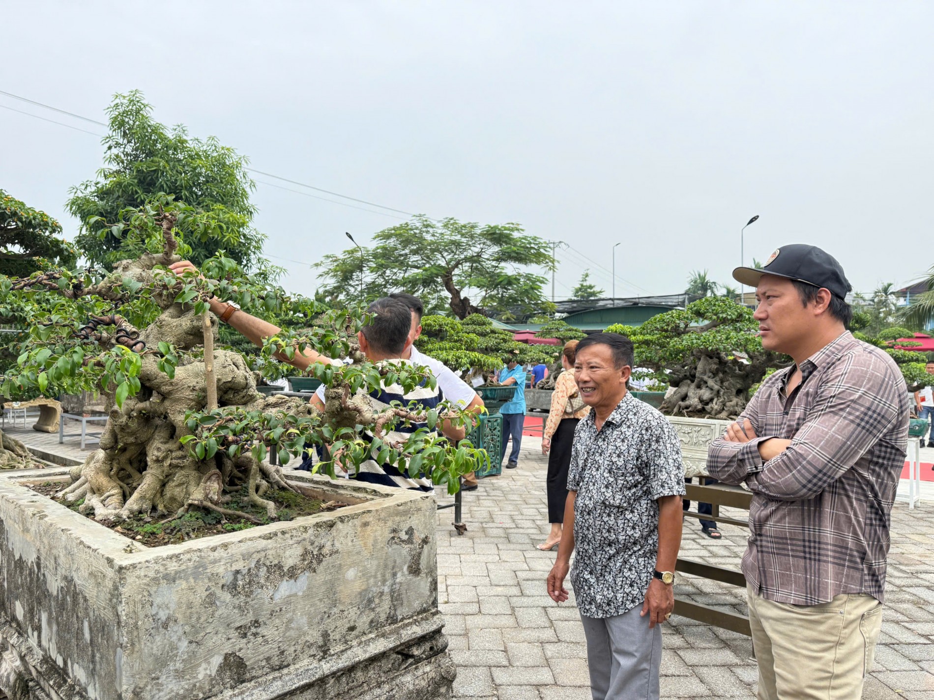 Gần 200 người yêu bonsai hội ngộ tại Lý Nhân: Lan tỏa đam mê, kết nối giá trị nghệ thuật sinh vật cảnh