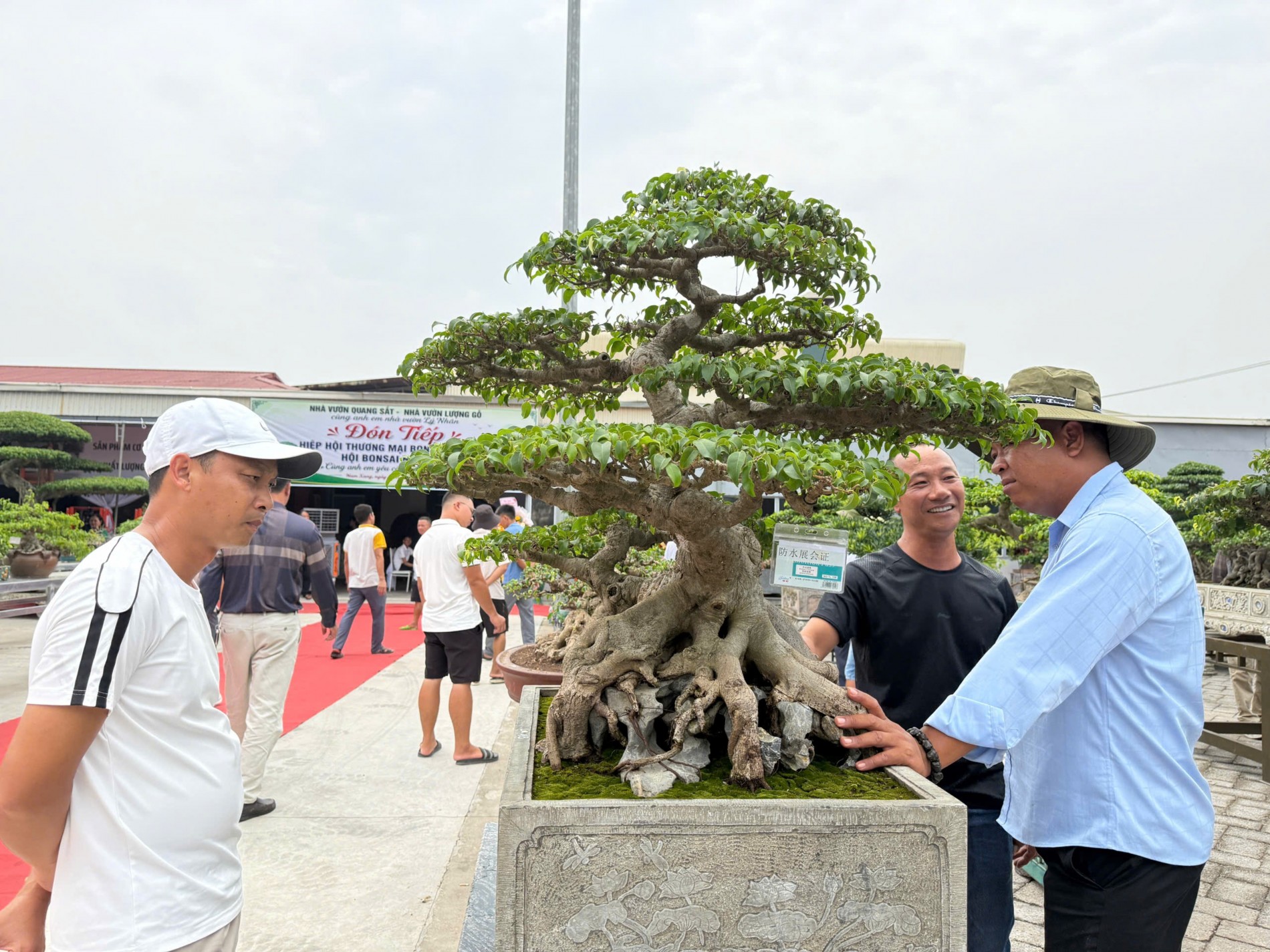 Gần 200 người yêu bonsai hội ngộ tại Lý Nhân: Lan tỏa đam mê, kết nối giá trị nghệ thuật sinh vật cảnh