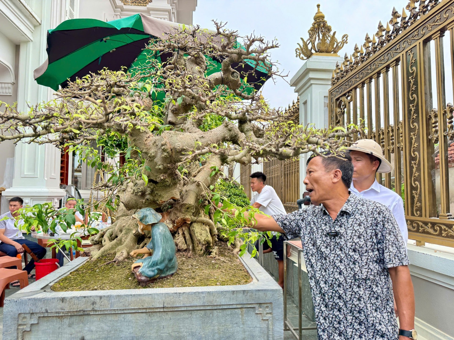 Gần 200 người yêu bonsai hội ngộ tại Lý Nhân: Lan tỏa đam mê, kết nối giá trị nghệ thuật sinh vật cảnh