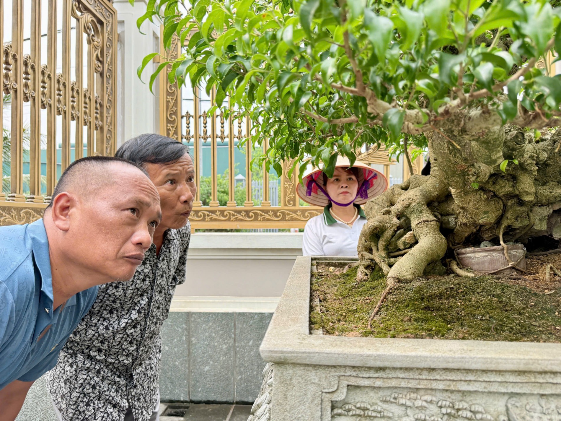 Gần 200 người yêu bonsai hội ngộ tại Lý Nhân: Lan tỏa đam mê, kết nối giá trị nghệ thuật sinh vật cảnh