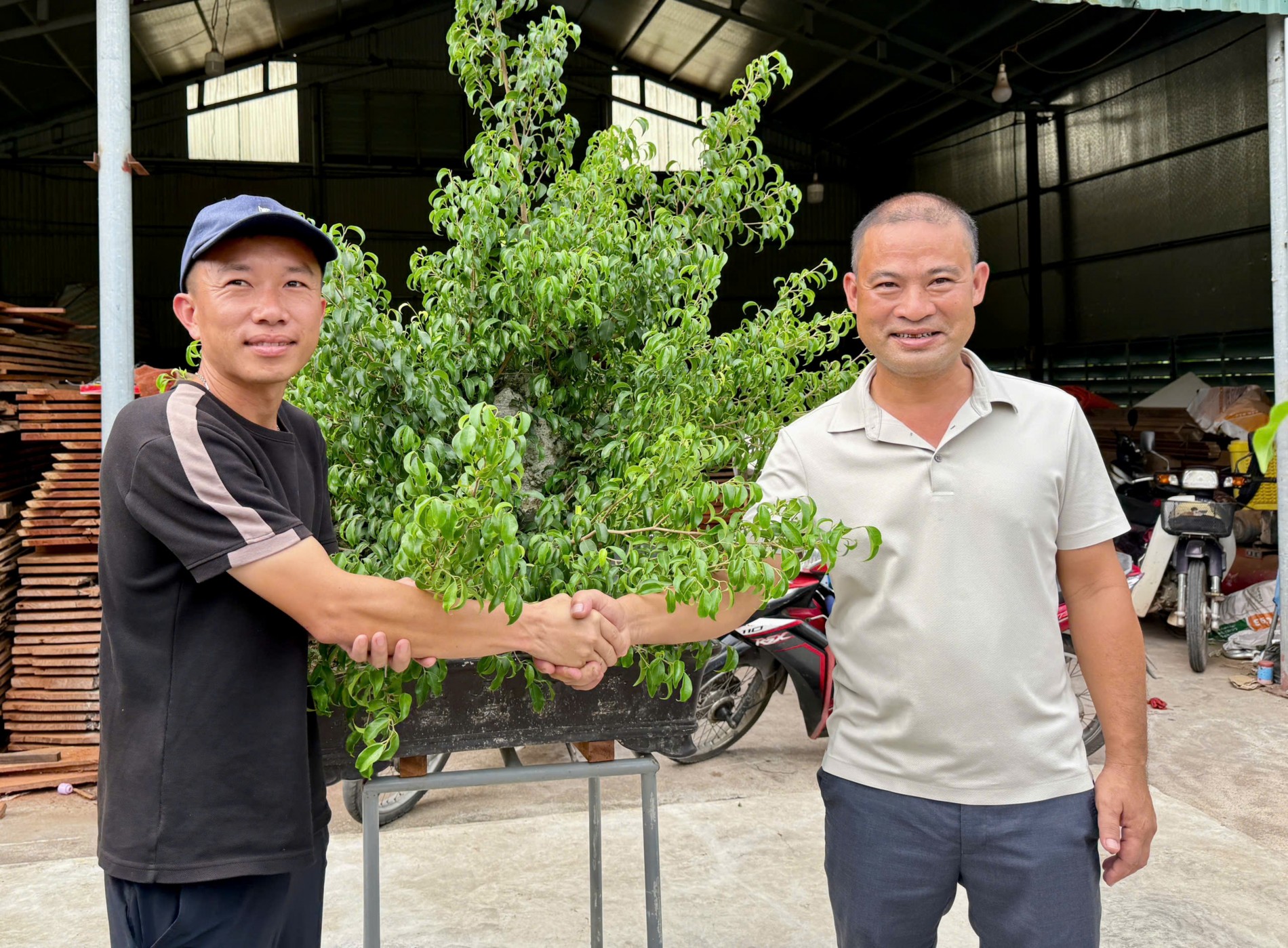 Gần 200 người yêu bonsai hội ngộ tại Lý Nhân: Lan tỏa đam mê, kết nối giá trị nghệ thuật sinh vật cảnh