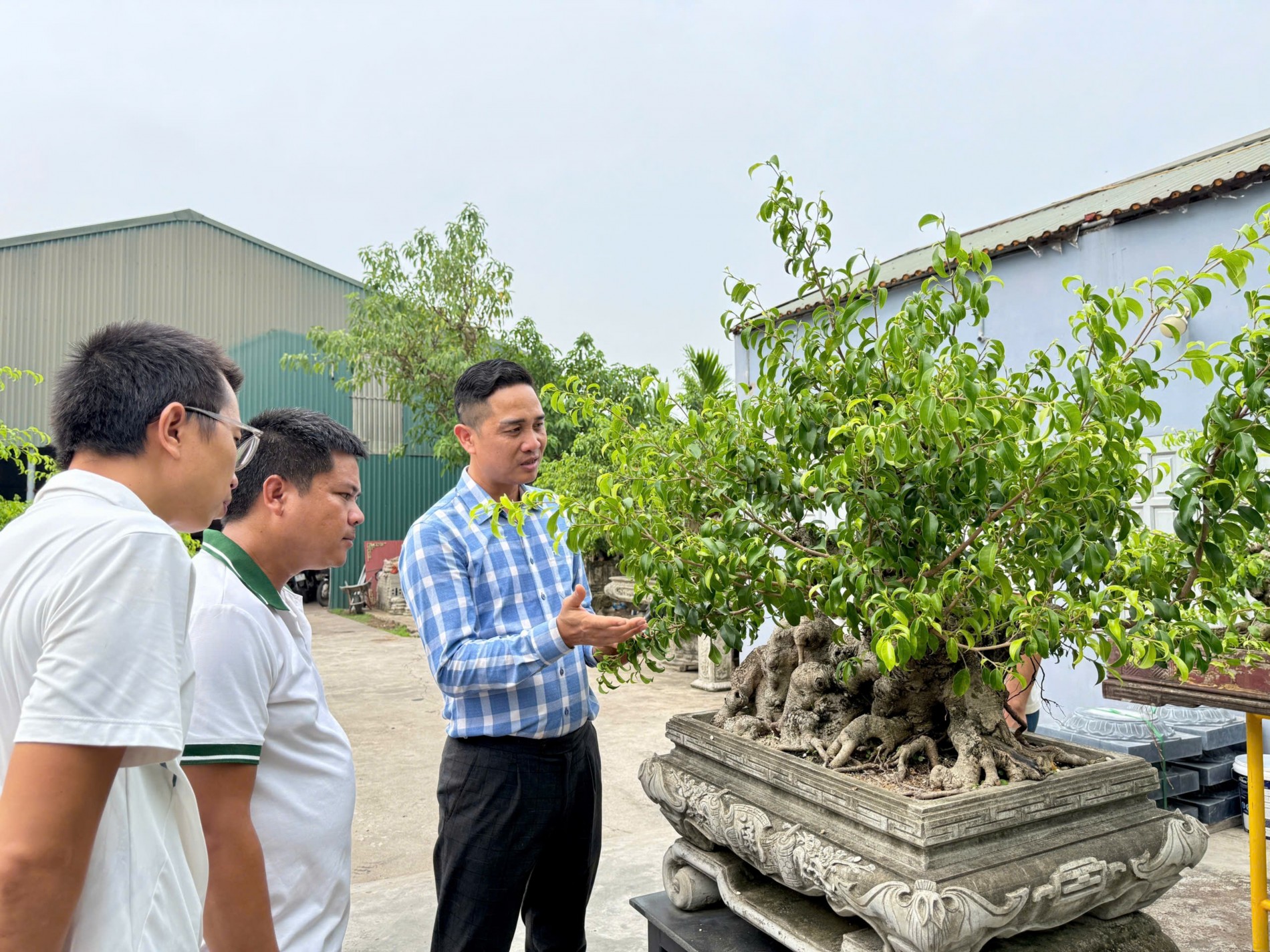 Gần 200 người yêu bonsai hội ngộ tại Lý Nhân: Lan tỏa đam mê, kết nối giá trị nghệ thuật sinh vật cảnh