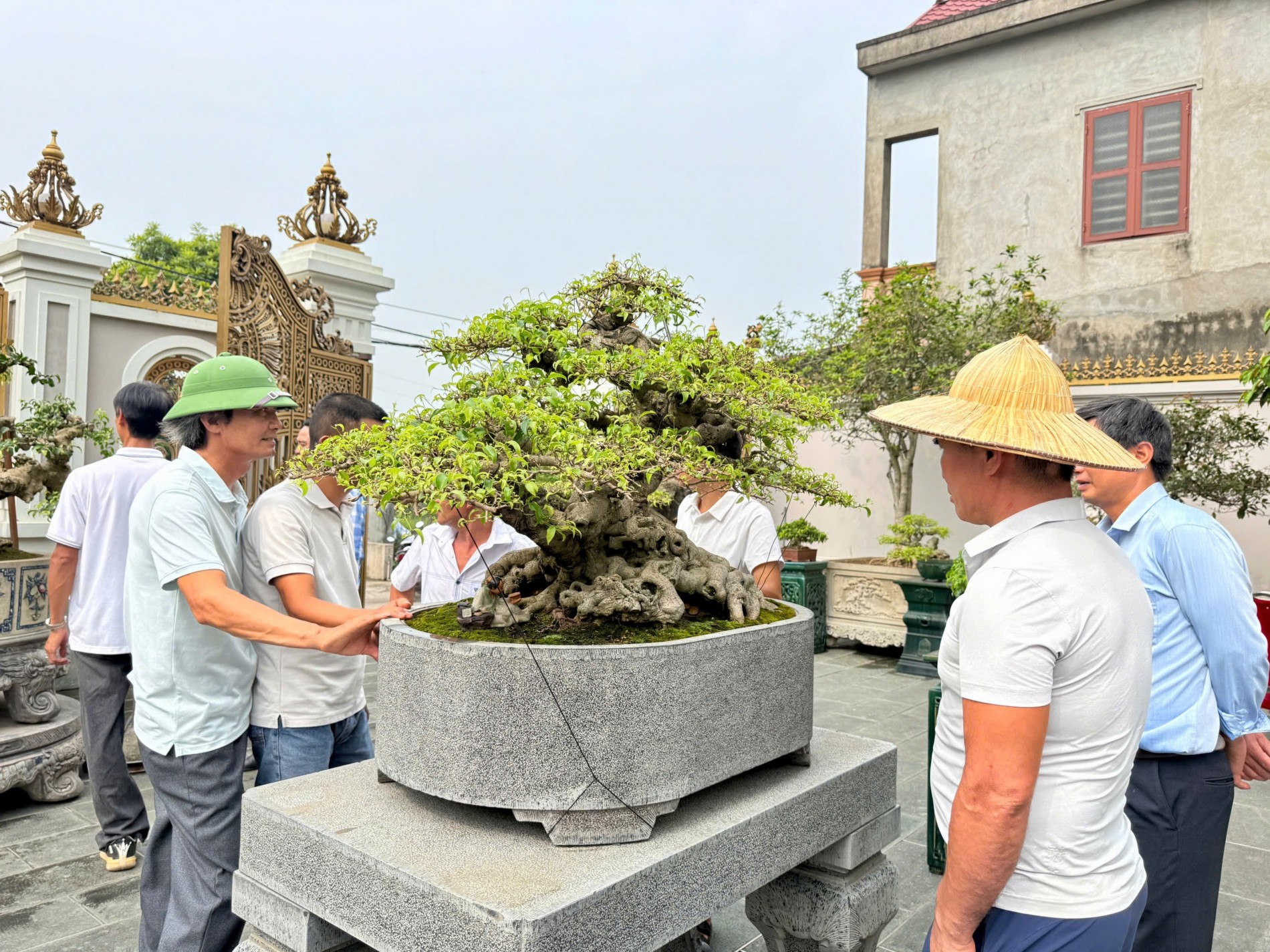 Gần 200 người yêu bonsai hội ngộ tại Lý Nhân: Lan tỏa đam mê, kết nối giá trị nghệ thuật sinh vật cảnh
