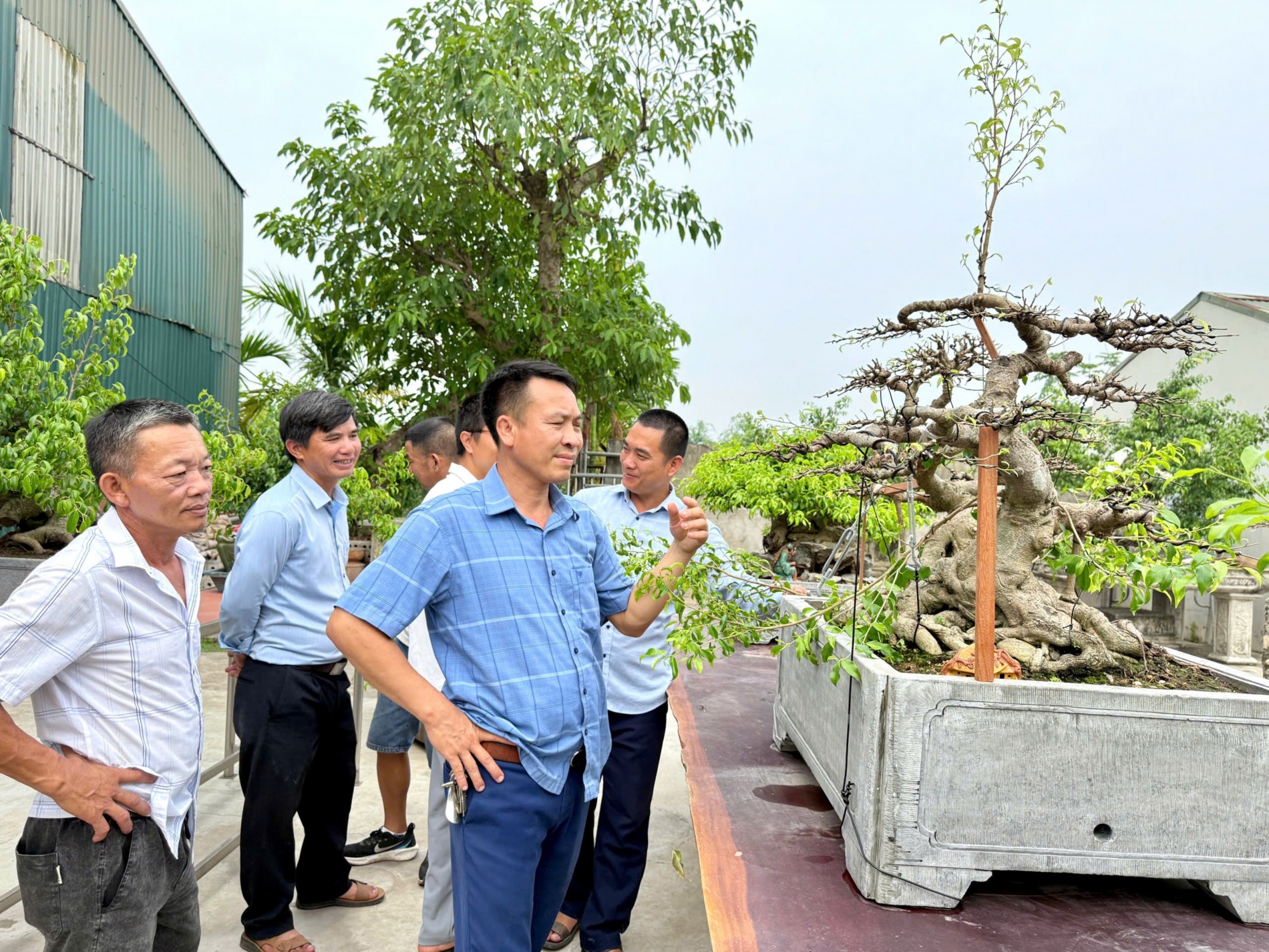 Gần 200 người yêu bonsai hội ngộ tại Lý Nhân: Lan tỏa đam mê, kết nối giá trị nghệ thuật sinh vật cảnh