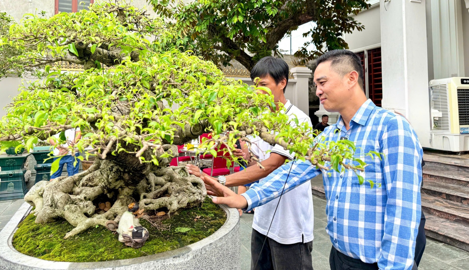 Gần 200 người yêu bonsai hội ngộ tại Lý Nhân: Lan tỏa đam mê, kết nối giá trị nghệ thuật sinh vật cảnh