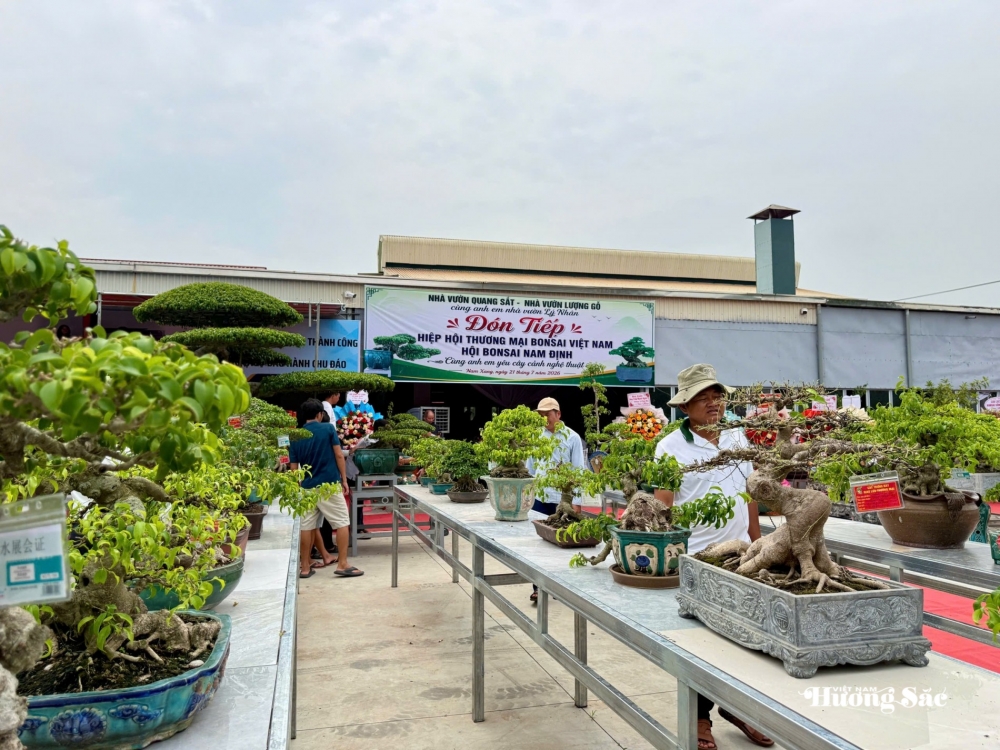Gần 200 người yêu bonsai hội ngộ tại Lý Nhân: Lan tỏa đam mê, kết nối giá trị nghệ thuật sinh vật cảnh Gần 200 người yêu bonsai hội ngộ tại Lý Nhân: Lan tỏa đam mê, kết nối giá trị nghệ thuật sinh vật cảnh