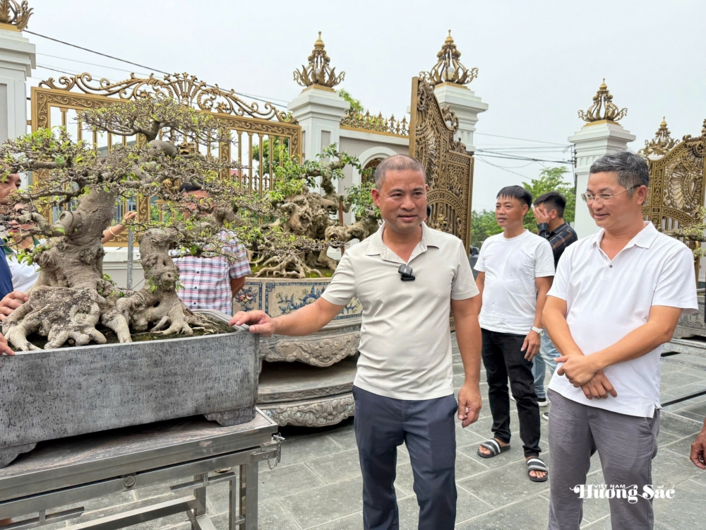 Gần 200 người yêu bonsai hội ngộ tại Lý Nhân: Lan tỏa đam mê, kết nối giá trị nghệ thuật sinh vật cảnh Gần 200 người yêu bonsai hội ngộ tại Lý Nhân: Lan tỏa đam mê, kết nối giá trị nghệ thuật sinh vật cảnh