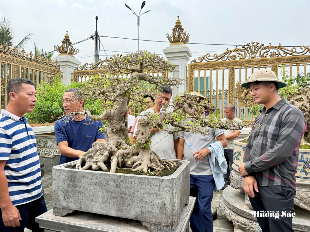 Gần 200 người yêu bonsai hội ngộ tại Lý Nhân: Lan tỏa đam mê, kết nối giá trị nghệ thuật sinh vật cảnh Gần 200 người yêu bonsai hội ngộ tại Lý Nhân: Lan tỏa đam mê, kết nối giá trị nghệ thuật sinh vật cảnh