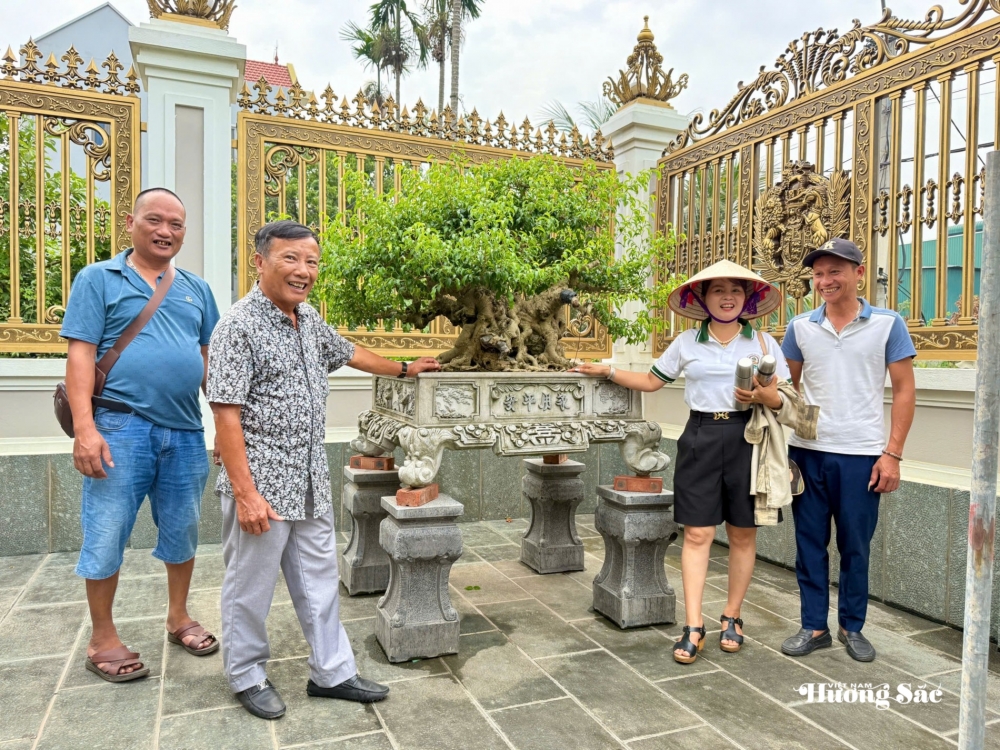 Gần 200 người yêu bonsai hội ngộ tại Lý Nhân: Lan tỏa đam mê, kết nối giá trị nghệ thuật sinh vật cảnh Gần 200 người yêu bonsai hội ngộ tại Lý Nhân: Lan tỏa đam mê, kết nối giá trị nghệ thuật sinh vật cảnh