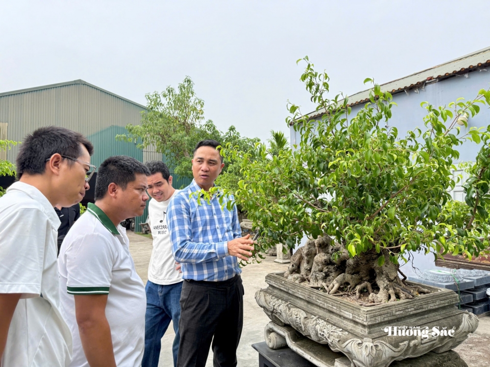 Gần 200 người yêu bonsai hội ngộ tại Lý Nhân: Lan tỏa đam mê, kết nối giá trị nghệ thuật sinh vật cảnh Gần 200 người yêu bonsai hội ngộ tại Lý Nhân: Lan tỏa đam mê, kết nối giá trị nghệ thuật sinh vật cảnh