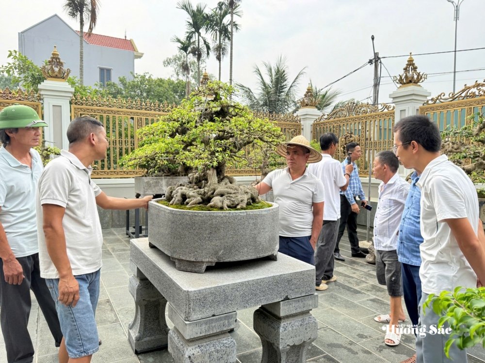 Gần 200 người yêu bonsai hội ngộ tại Lý Nhân: Lan tỏa đam mê, kết nối giá trị nghệ thuật sinh vật cảnh Gần 200 người yêu bonsai hội ngộ tại Lý Nhân: Lan tỏa đam mê, kết nối giá trị nghệ thuật sinh vật cảnh