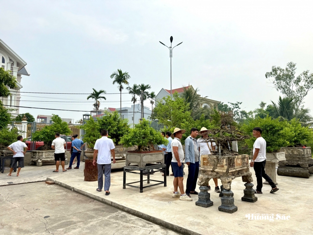 Gần 200 người yêu bonsai hội ngộ tại Lý Nhân: Lan tỏa đam mê, kết nối giá trị nghệ thuật sinh vật cảnh Gần 200 người yêu bonsai hội ngộ tại Lý Nhân: Lan tỏa đam mê, kết nối giá trị nghệ thuật sinh vật cảnh