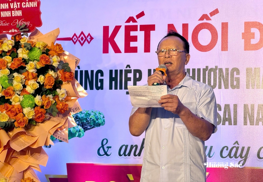 Gần 200 người yêu bonsai hội ngộ tại Lý Nhân: Lan tỏa đam mê, kết nối giá trị nghệ thuật sinh vật cảnh Gần 200 người yêu bonsai hội ngộ tại Lý Nhân: Lan tỏa đam mê, kết nối giá trị nghệ thuật sinh vật cảnh