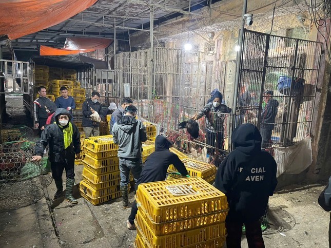 Giết mổ động vật không được cấp phép có thể bị phạt đến 8 triệu đồng Giết mổ động vật không được cấp phép có thể bị phạt đến 8 triệu đồng