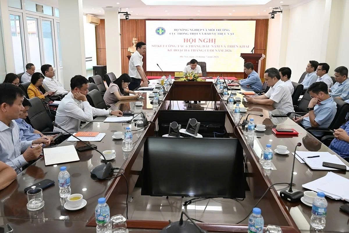 Mã số vùng trồng trở thành hạ tầng của xuất khẩu nông sản Mã số vùng trồng trở thành hạ tầng của xuất khẩu nông sản