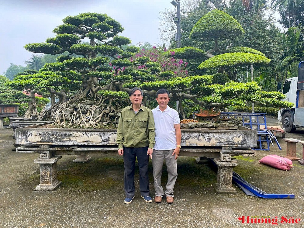 Nghệ nhân Nguyễn Tấn Sanh - Người gieo mầm đam mê, nâng tầm nghệ thuật cây cảnh Việt Nghệ nhân Nguyễn Tấn Sanh - Người gieo mầm đam mê, nâng tầm nghệ thuật cây cảnh Việt
