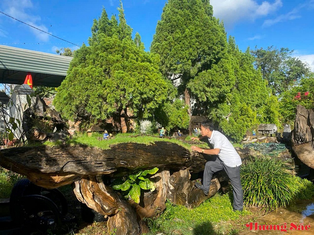 Nghệ nhân Nguyễn Tấn Sanh - Người gieo mầm đam mê, nâng tầm nghệ thuật cây cảnh Việt Nghệ nhân Nguyễn Tấn Sanh - Người gieo mầm đam mê, nâng tầm nghệ thuật cây cảnh Việt