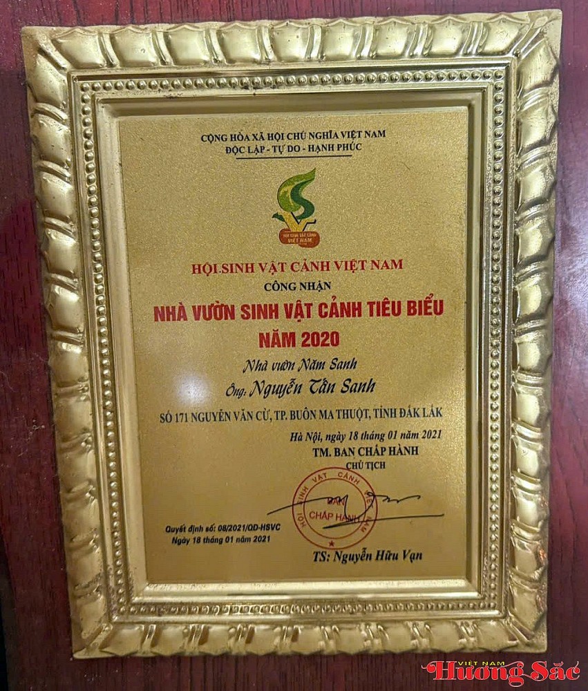 Nghệ nhân Nguyễn Tấn Sanh - Người gieo mầm đam mê, nâng tầm nghệ thuật cây cảnh Việt Nghệ nhân Nguyễn Tấn Sanh - Người gieo mầm đam mê, nâng tầm nghệ thuật cây cảnh Việt
