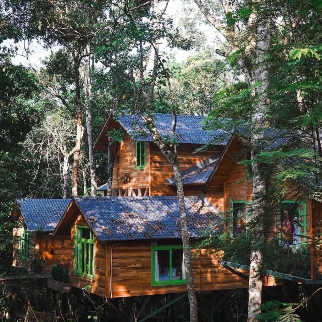 Măng Đen Treehouse Village: Mô hình du lịch xanh giữa đại ngàn Tây Nguyên
