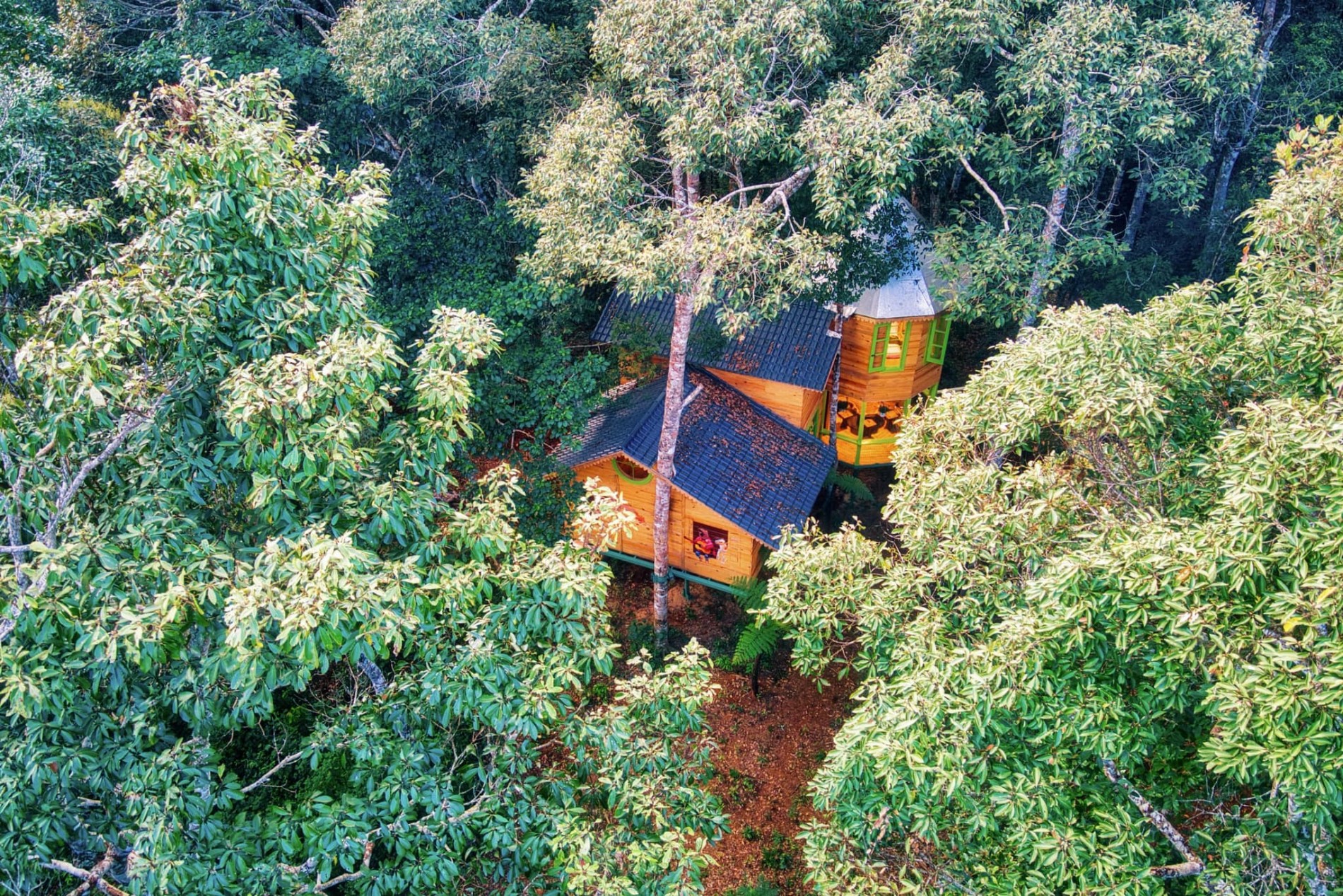 Măng Đen Treehouse Village: Mô hình du lịch xanh giữa đại ngàn Tây Nguyên
