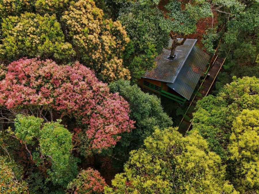 Măng Đen Treehouse Village: Mô hình du lịch xanh giữa đại ngàn Tây Nguyên