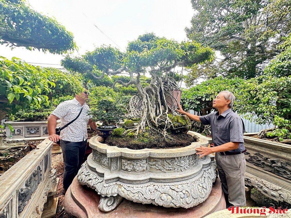 Đặng Anh Tuấn - Người thổi hồn vào những tác phẩm bonsai sanh cổ Đặng Anh Tuấn - Người thổi hồn vào những tác phẩm bonsai sanh cổ