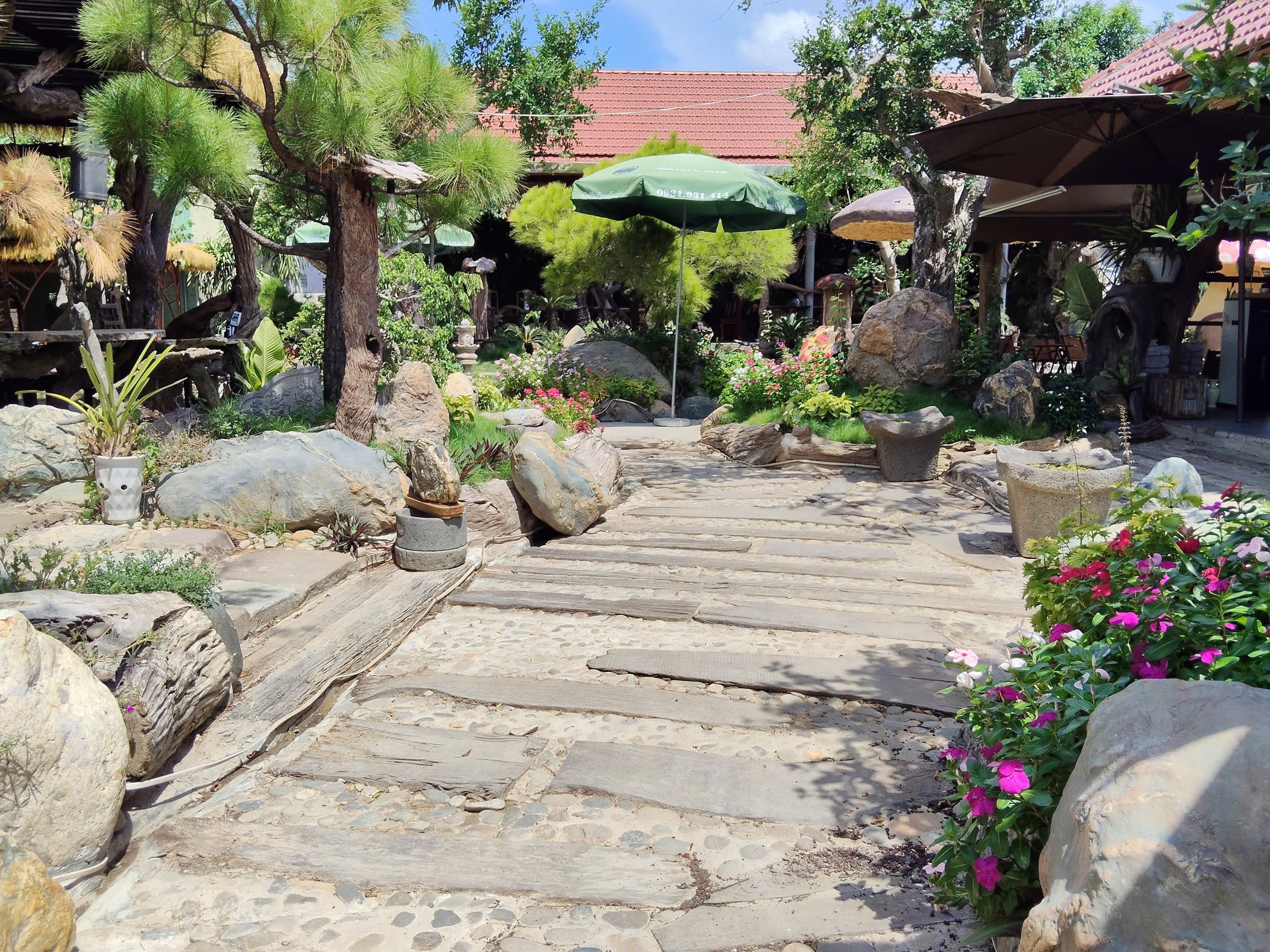 Gỗ Cà Phê - Bản hòa ca của tình yêu sinh vật cảnh giữa lòng cố đô Huế Gỗ Cà Phê - Bản hòa ca của tình yêu sinh vật cảnh giữa lòng cố đô Huế
