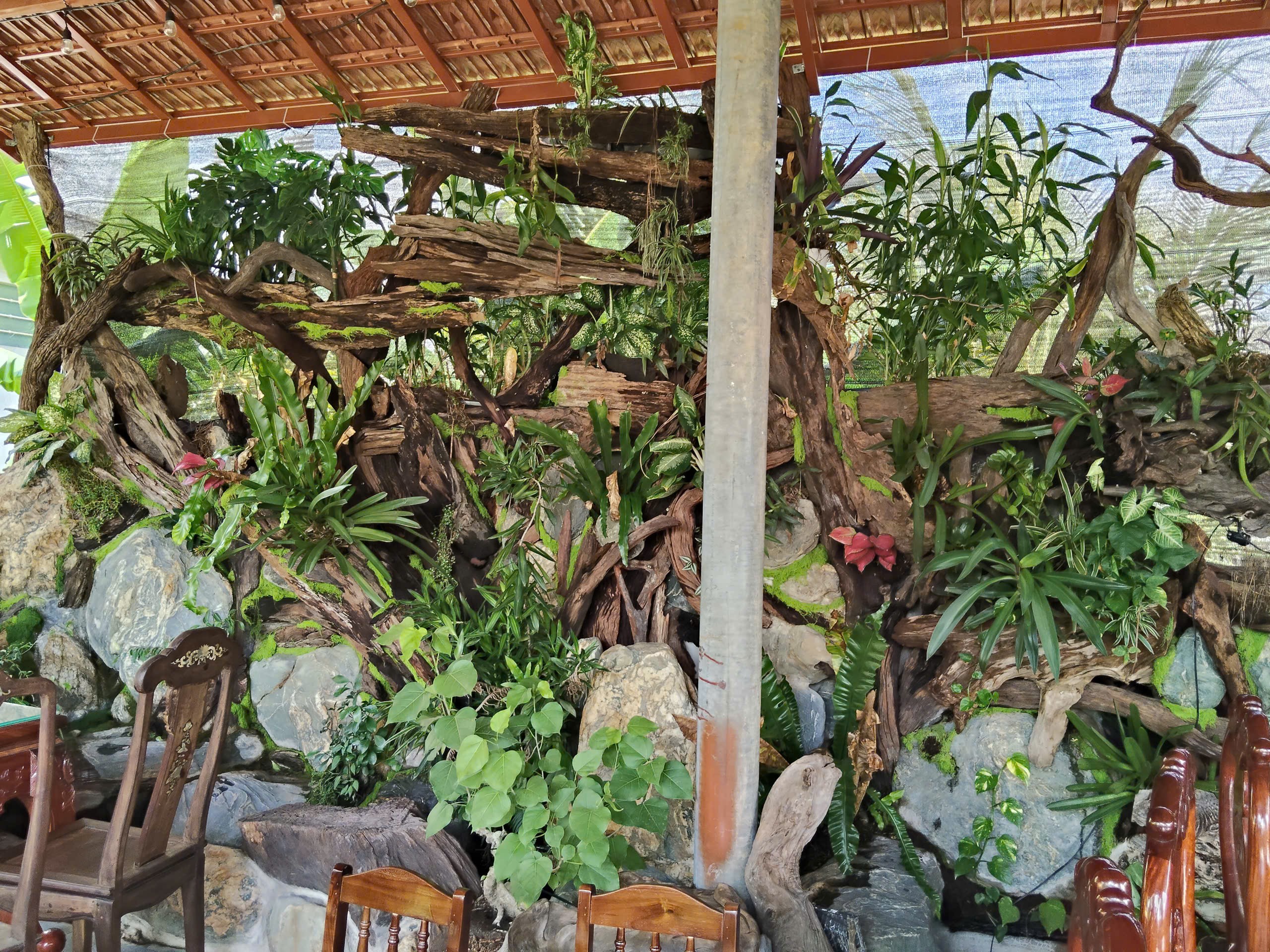 Gỗ Cà Phê - Bản hòa ca của tình yêu sinh vật cảnh giữa lòng cố đô Huế Gỗ Cà Phê - Bản hòa ca của tình yêu sinh vật cảnh giữa lòng cố đô Huế