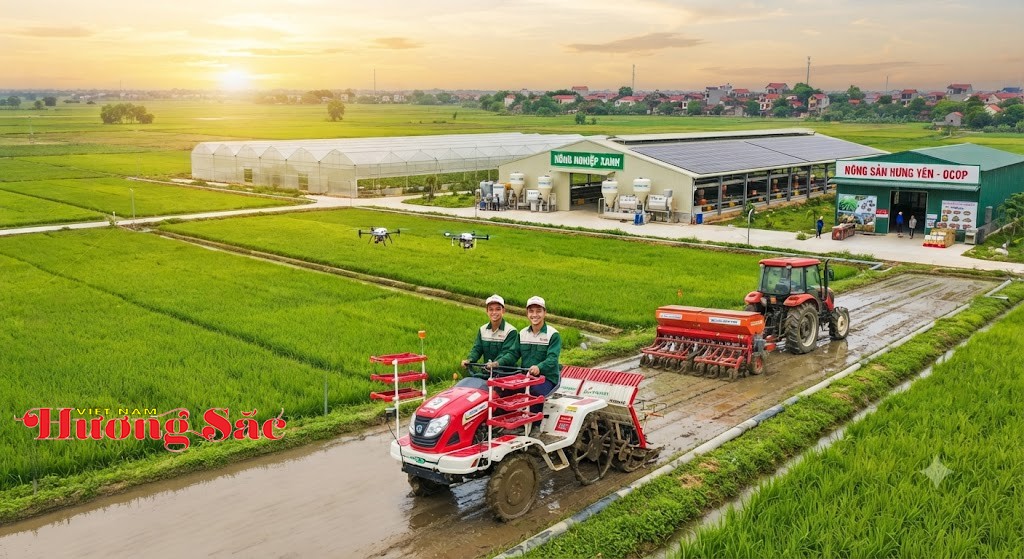 Hưng Yên ban hành nhiều chính sách hỗ trợ thiết thực giúp nông dân nâng cao thu nhập Hưng Yên ban hành nhiều chính sách hỗ trợ thiết thực giúp nông dân nâng cao thu nhập