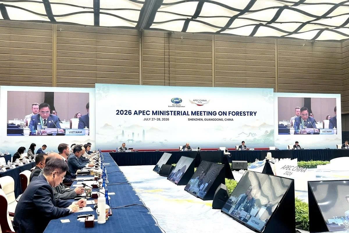 Việt Nam cùng APEC kiến tạo tương lai xanh từ quản trị rừng bền vững