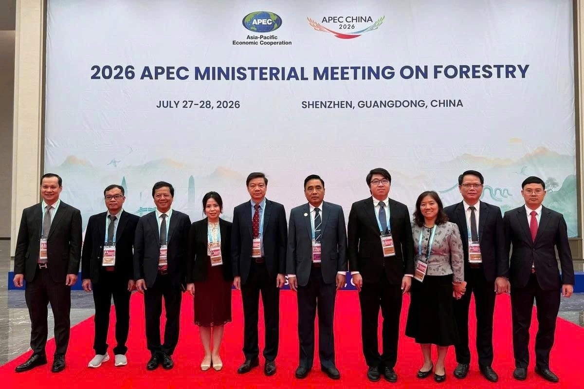 Việt Nam cùng APEC kiến tạo tương lai xanh từ quản trị rừng bền vững