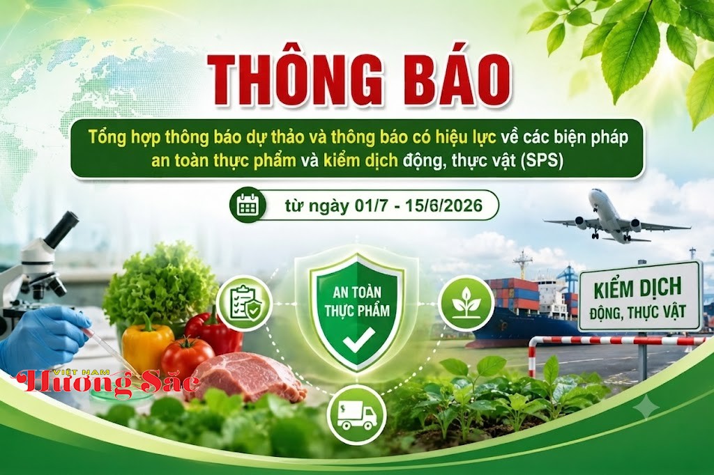 Văn phòng SPS Việt Nam cảnh báo 51 quy định mới có thể ảnh hưởng xuất khẩu nông, lâm, thủy sản