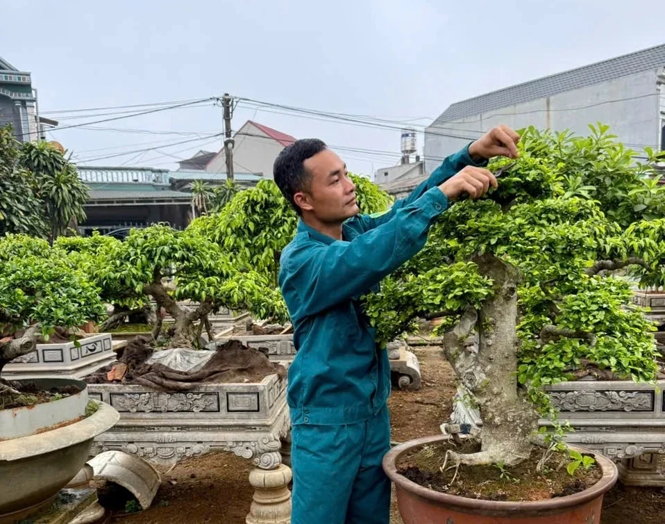 Nghề trồng cây cảnh giúp nhiều hộ dân Hoàng Xá thu hàng trăm triệu đồng mỗi năm Nghề trồng cây cảnh giúp nhiều hộ dân Hoàng Xá thu hàng trăm triệu đồng mỗi năm