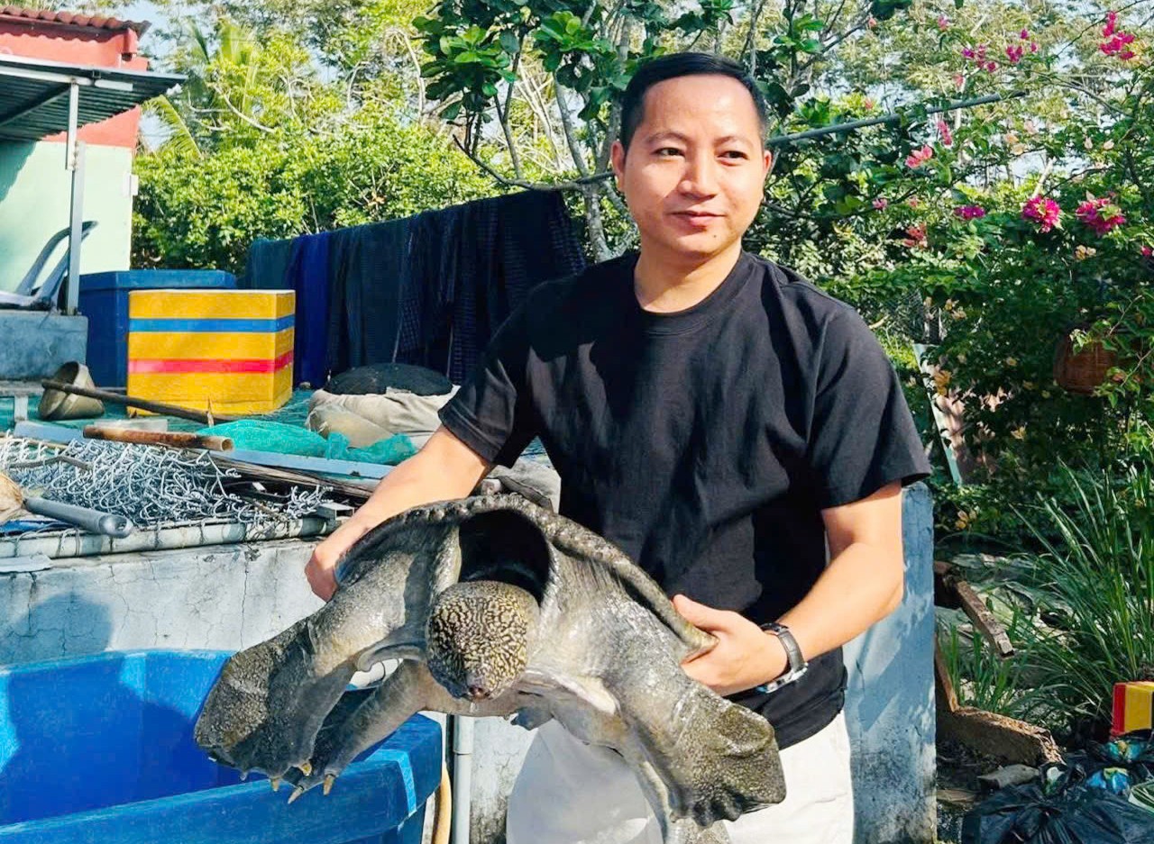 Nuôi 20 con cua đinh bố mẹ, mỗi năm chàng trai miền Tây bán 400-500 con giống Nuôi 20 con cua đinh bố mẹ, mỗi năm chàng trai miền Tây bán 400-500 con giống