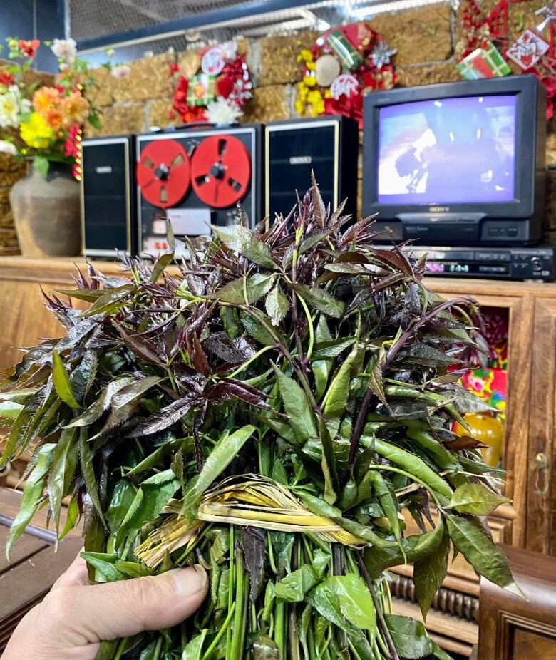 Loại rau rừng có hương vị “kén người ăn”, nay thành đặc sản đắt khách