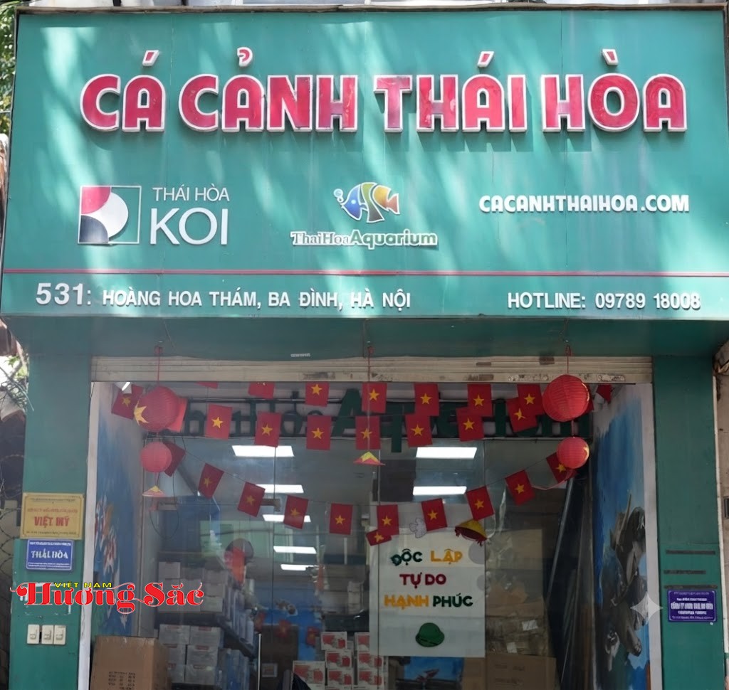 Thái Hòa Aquarium đồng hành xây dựng sân chơi sáng tạo cho người yêu thủy sinh Thái Hòa Aquarium đồng hành xây dựng sân chơi sáng tạo cho người yêu thủy sinh