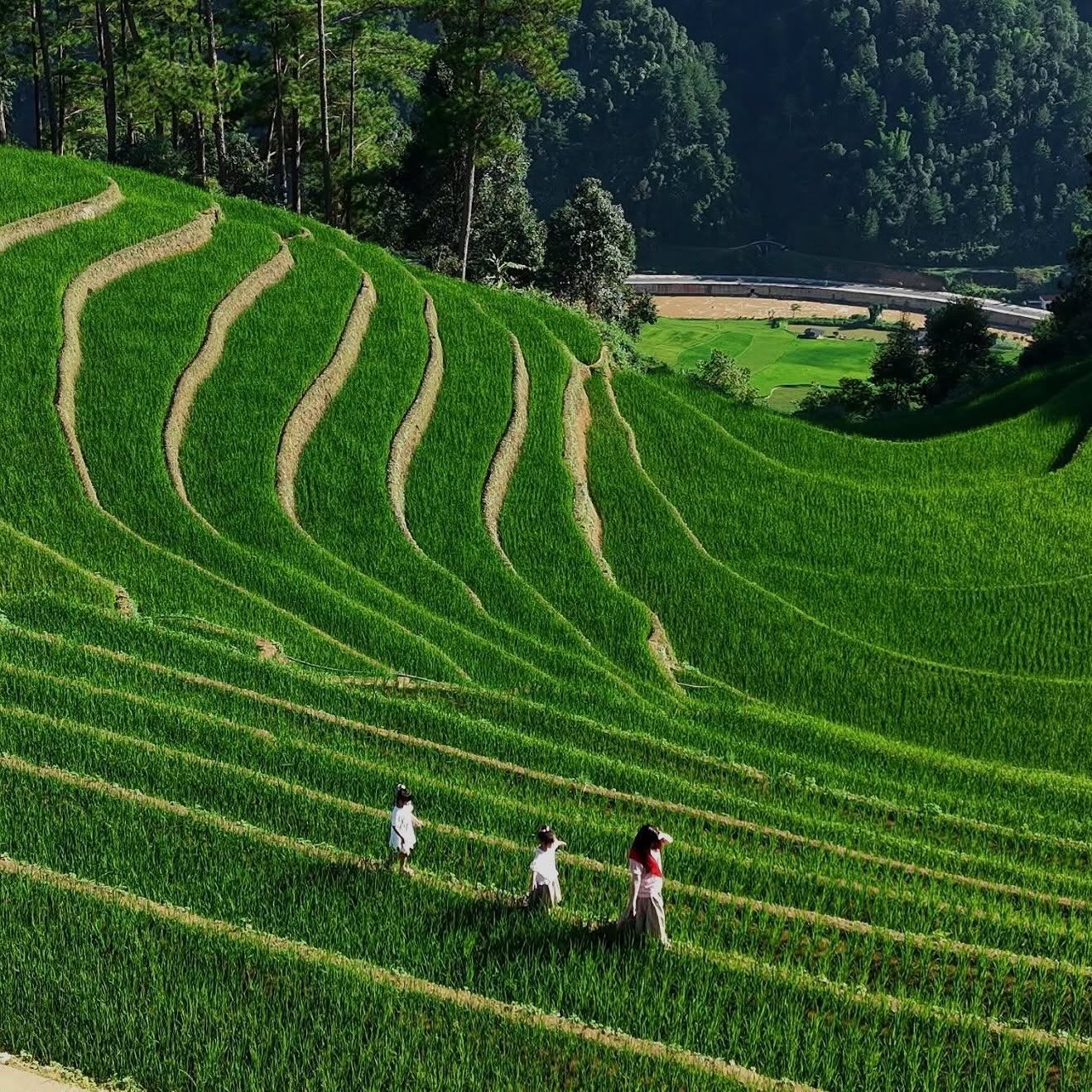 5 điểm đến “gọi tên mùa thu” đẹp nhất Việt Nam 5 điểm đến “gọi tên mùa thu” đẹp nhất Việt Nam