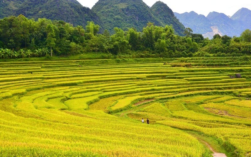 5 điểm đến “gọi tên mùa thu” đẹp nhất Việt Nam 5 điểm đến “gọi tên mùa thu” đẹp nhất Việt Nam