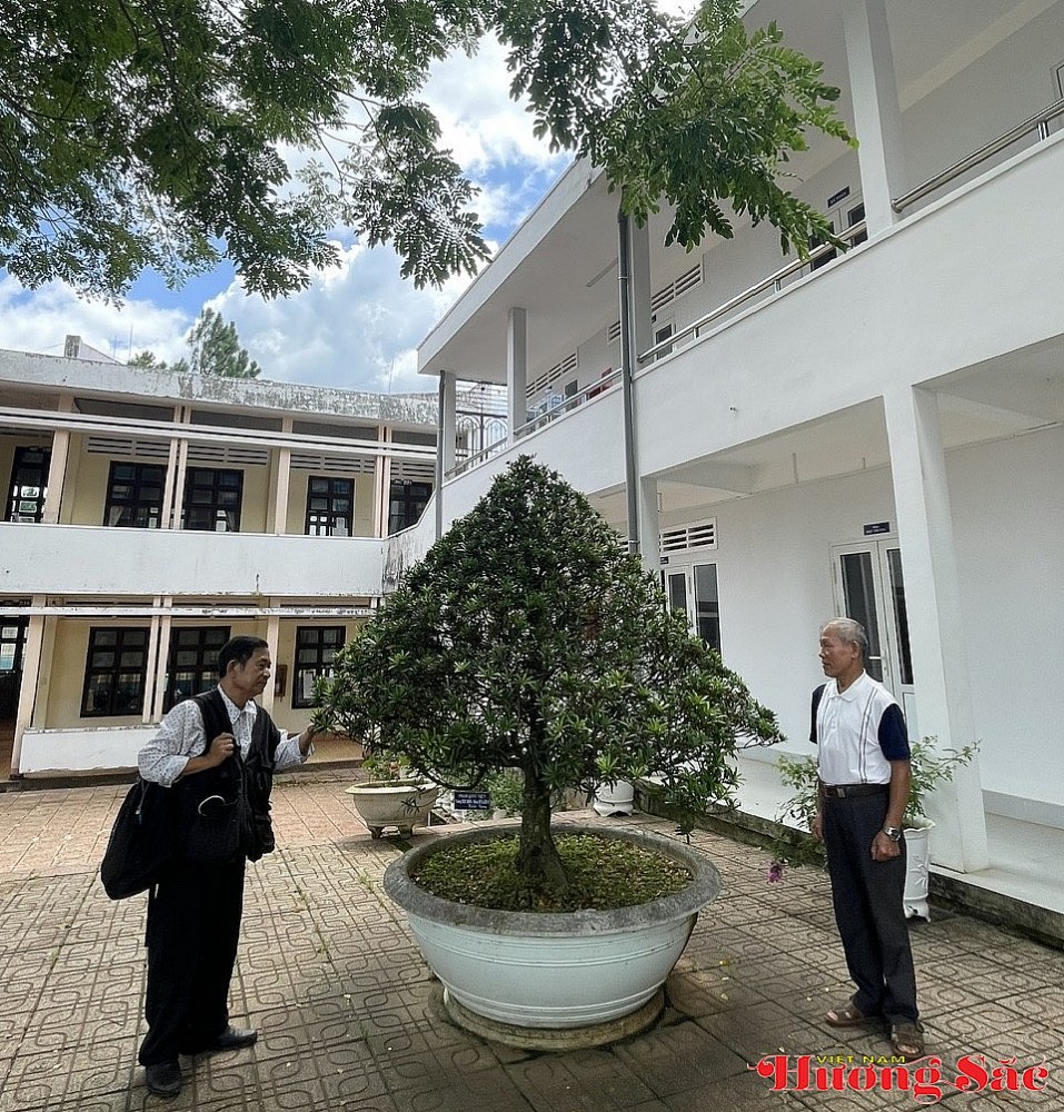 Hội Sinh vật cảnh Lâm Đồng: Gắn kết đam mê – Thúc đẩy kinh tế xanh Hội Sinh vật cảnh Lâm Đồng: Gắn kết đam mê – Thúc đẩy kinh tế xanh
