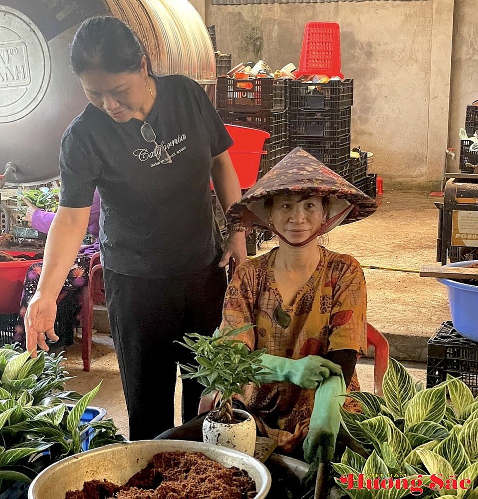 Hội Sinh vật cảnh Lâm Đồng: Gắn kết đam mê – Thúc đẩy kinh tế xanh Hội Sinh vật cảnh Lâm Đồng: Gắn kết đam mê – Thúc đẩy kinh tế xanh