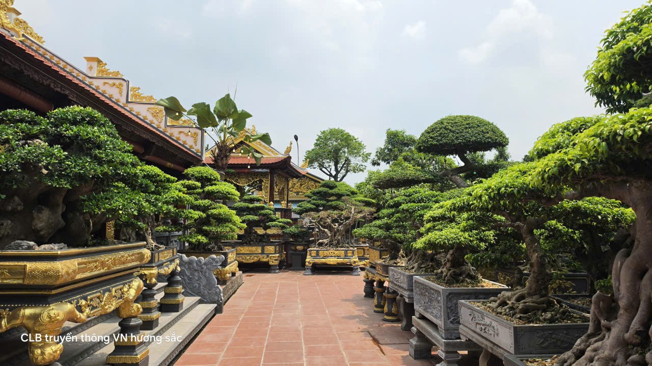Doanh nghiệp sản xuất đồ gỗ tạo dựng vườn cây cảnh lớn với hàng trăm tác phẩm có giá trị cao Doanh nghiệp sản xuất đồ gỗ tạo dựng vườn cây cảnh lớn với hàng trăm tác phẩm có giá trị cao
