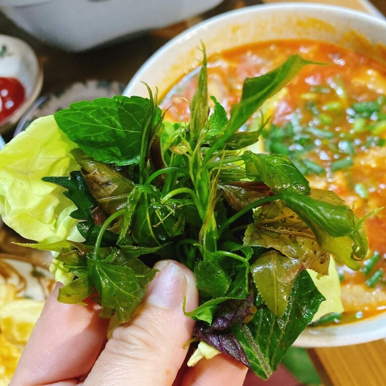Lá sau sau non chấm mẻ – món rau rừng lạ vị của người Lạng Sơn Lá sau sau non chấm mẻ – món rau rừng lạ vị của người Lạng Sơn