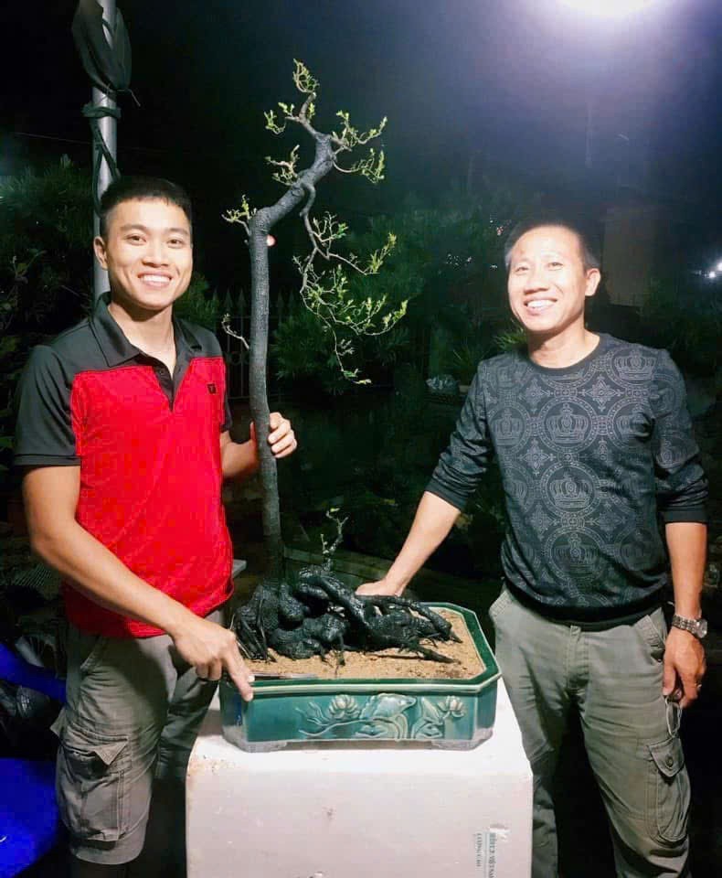 Chàng trai Quảng Ninh 10 năm theo nghề bonsai, gây dựng vườn cây cảnh 2 ha Chàng trai Quảng Ninh 10 năm theo nghề bonsai, gây dựng vườn cây cảnh 2 ha
