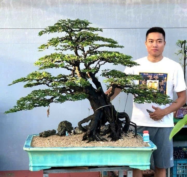 Chàng trai 9X 10 năm theo đuổi nghề tạo tác bonsai, sở hữu vườn cây cảnh 2 ha ở Quảng Ninh Chàng trai 9X 10 năm theo đuổi nghề tạo tác bonsai, sở hữu vườn cây cảnh 2 ha ở Quảng Ninh