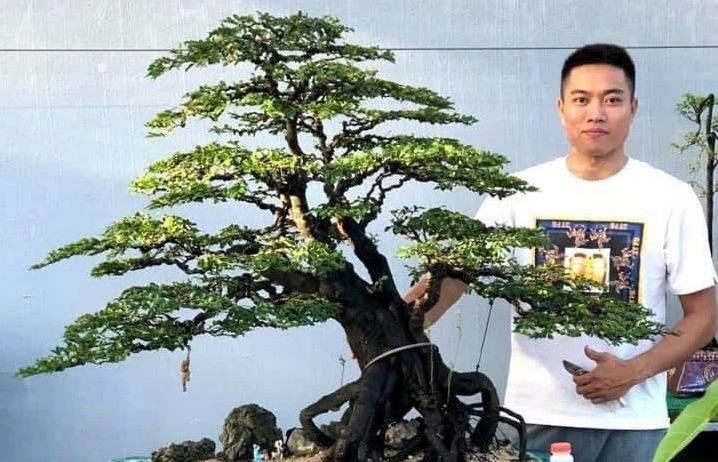 Chàng trai Quảng Ninh 10 năm theo nghề bonsai, gây dựng vườn cây cảnh 2 ha